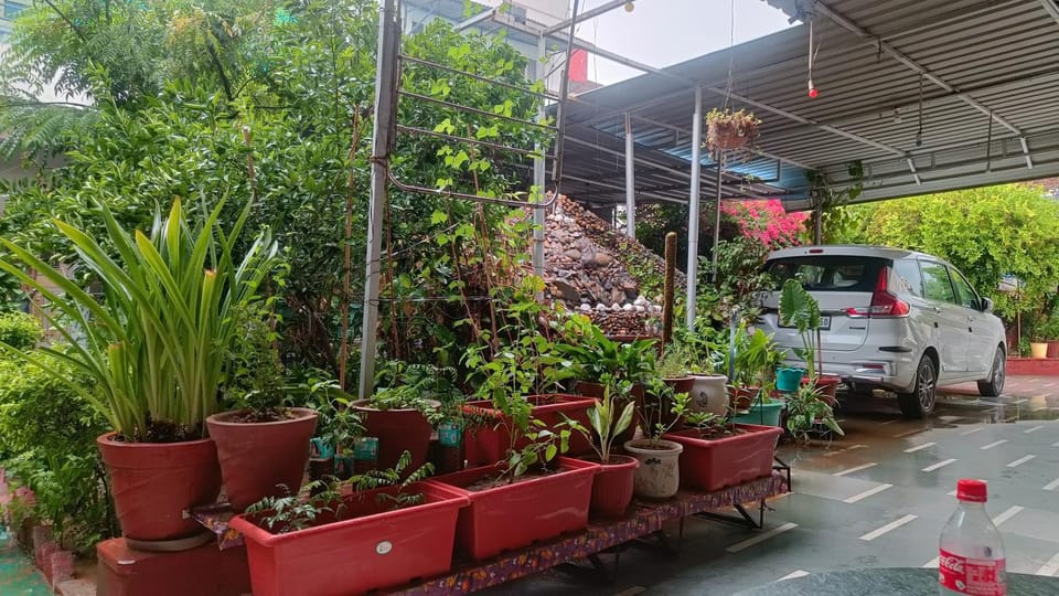 Homestayinpinkcity Vacation rental in Jaipur