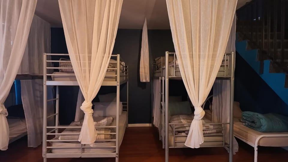 Photo of the whole room, Bedroom, bunk bed