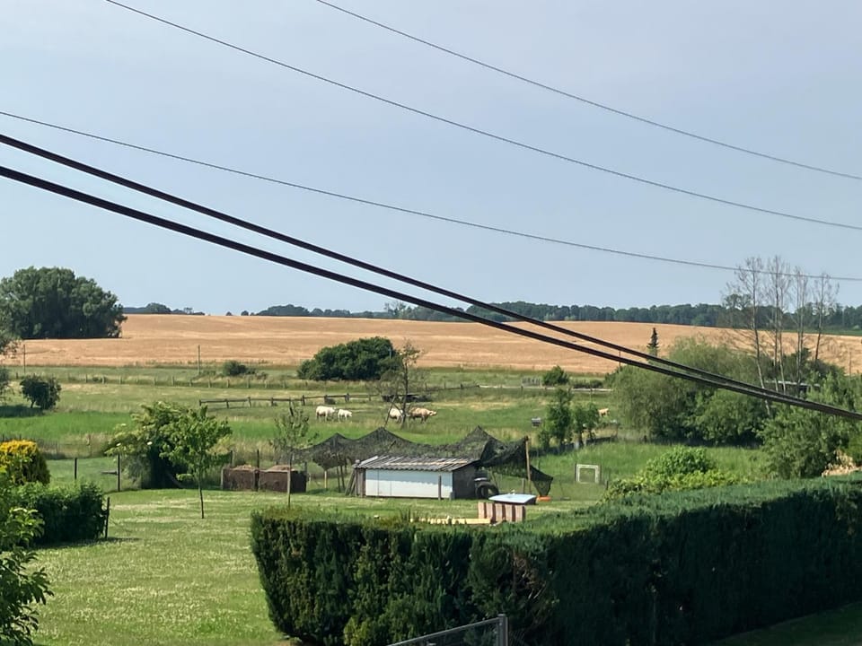 Natural landscape