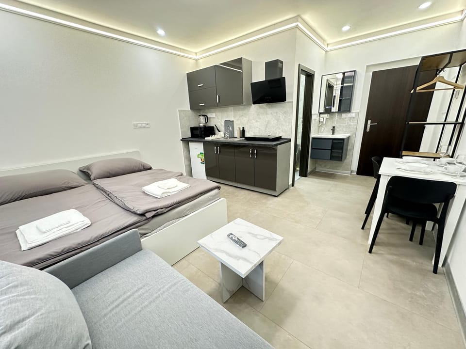Bed, Kitchen or kitchenette, Living room, Photo of the whole room, Seating area, Dining area, Bedroom, stove
