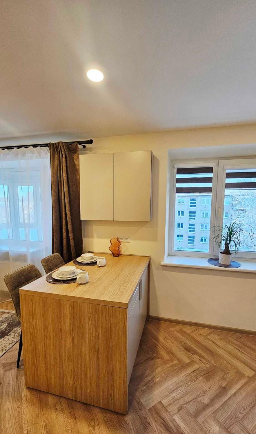 Central boulevard studio Apartment in Lithuania
