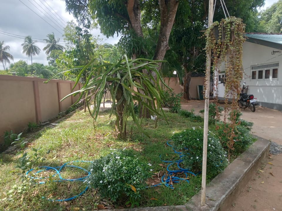 Innovative empowerment services ICES Bed and Breakfast in Sri Lanka