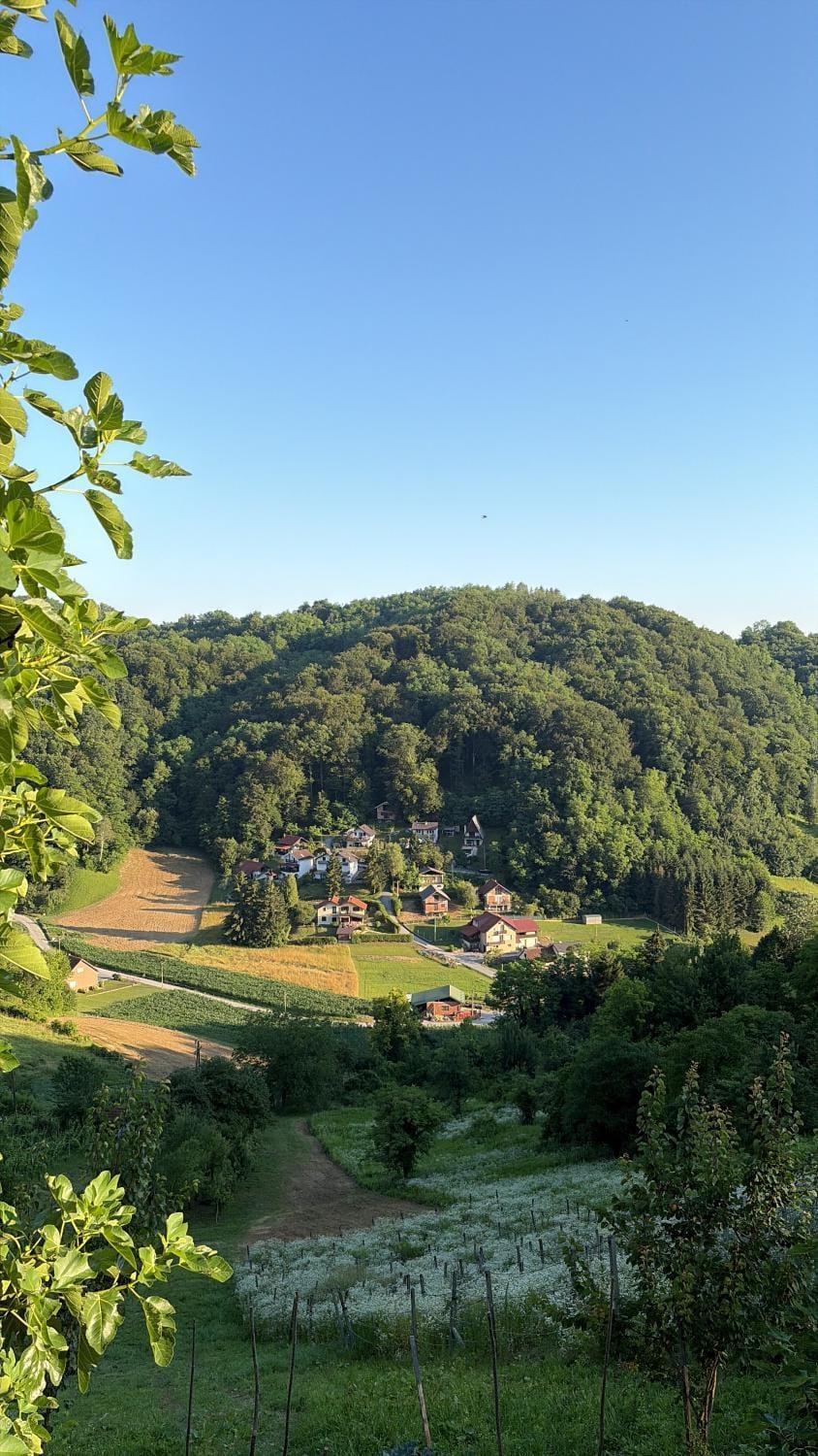 Natural landscape, View (from property/room)