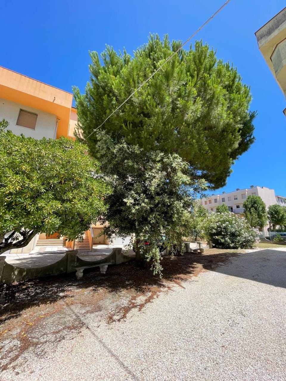 Casa di Manu Apartment in Marche