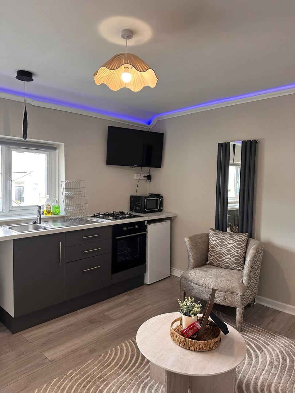 TV and multimedia, Kitchen or kitchenette, Living room, oven