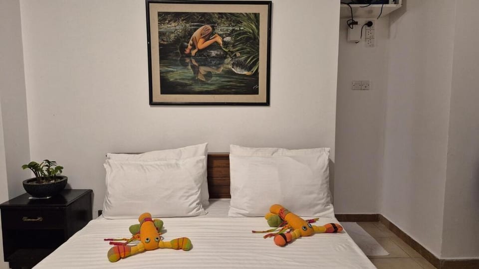 2 Bed Apartment in Colombo 3 Apartment in Colombo
