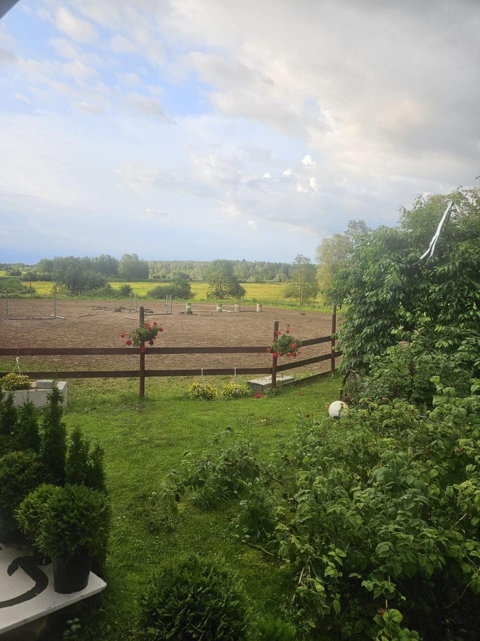 Garden view