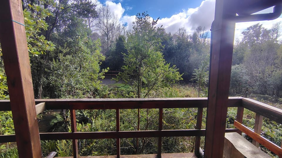 Casa Pura Vida House in Pucon