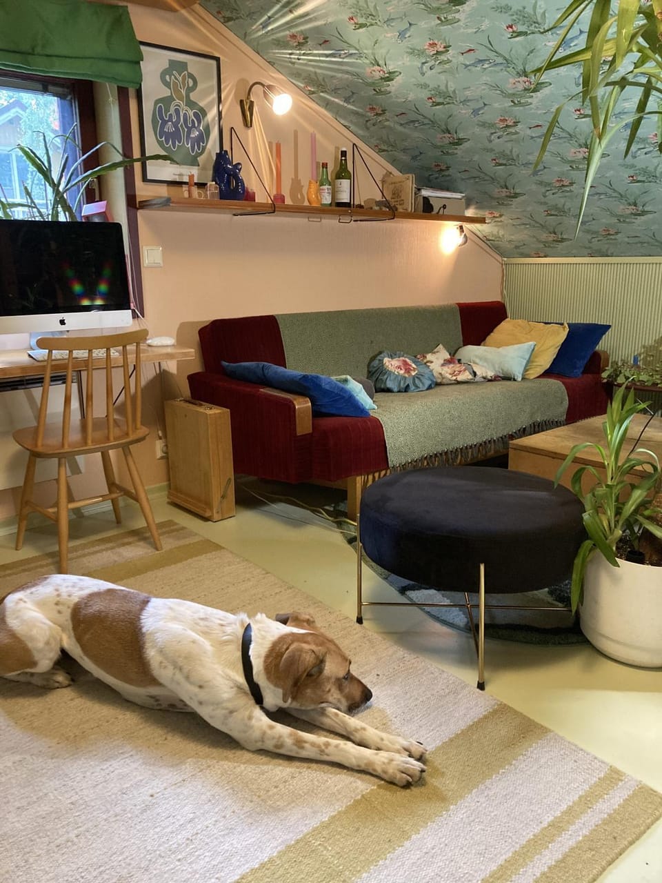 Suloinen hellahuone puutalossa Apartment in Turku