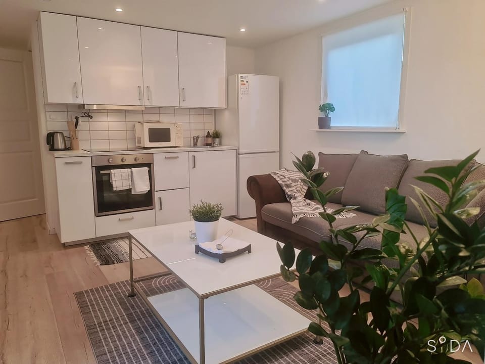 Bright & Cozy Ground Floor Apartment in Hässleholm Villa in Skåne County