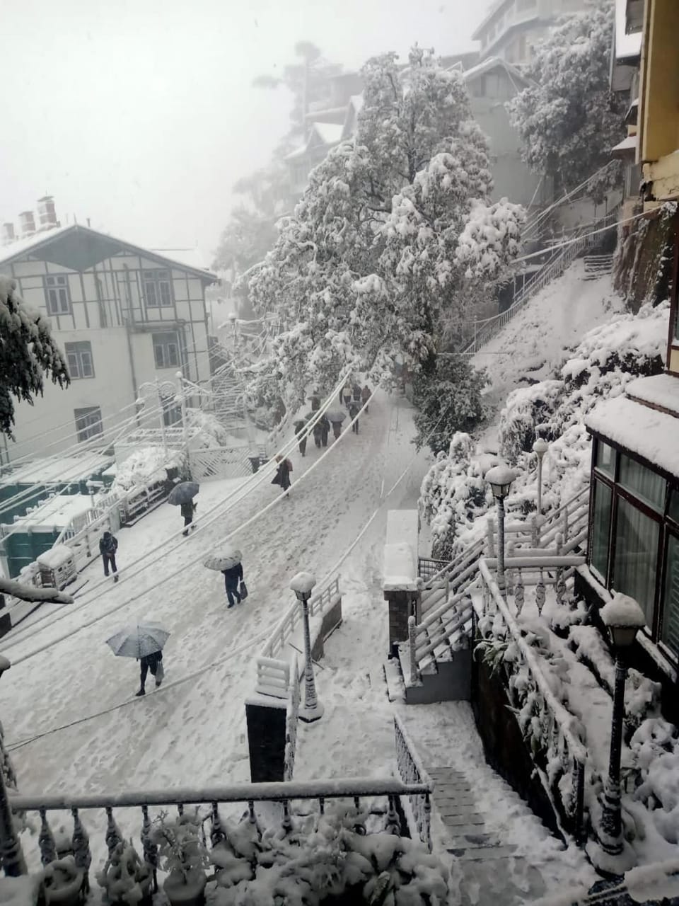 Winter, Street view