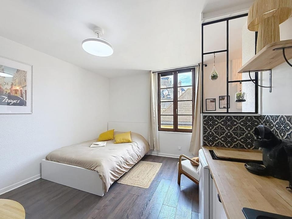 Le Petit Bouchon, Troyes centre Apartment in Troyes