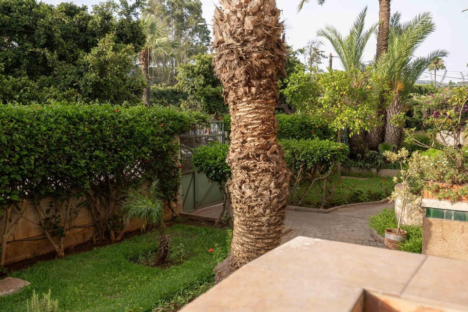 Garden, Balcony/Terrace, Garden view