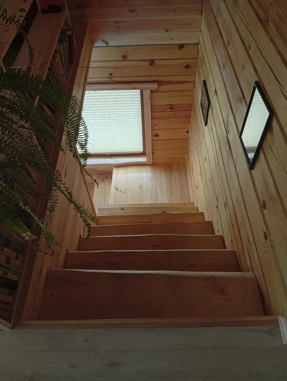 Kaasiku puhkemaja House in Estonia