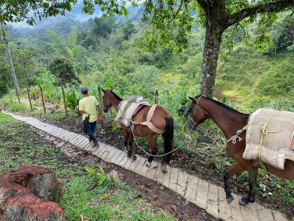 Casa Cascada donde la paz cae como agua Villa in San Rafael