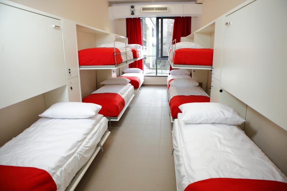Bed, Photo of the whole room, Bedroom, bunk bed