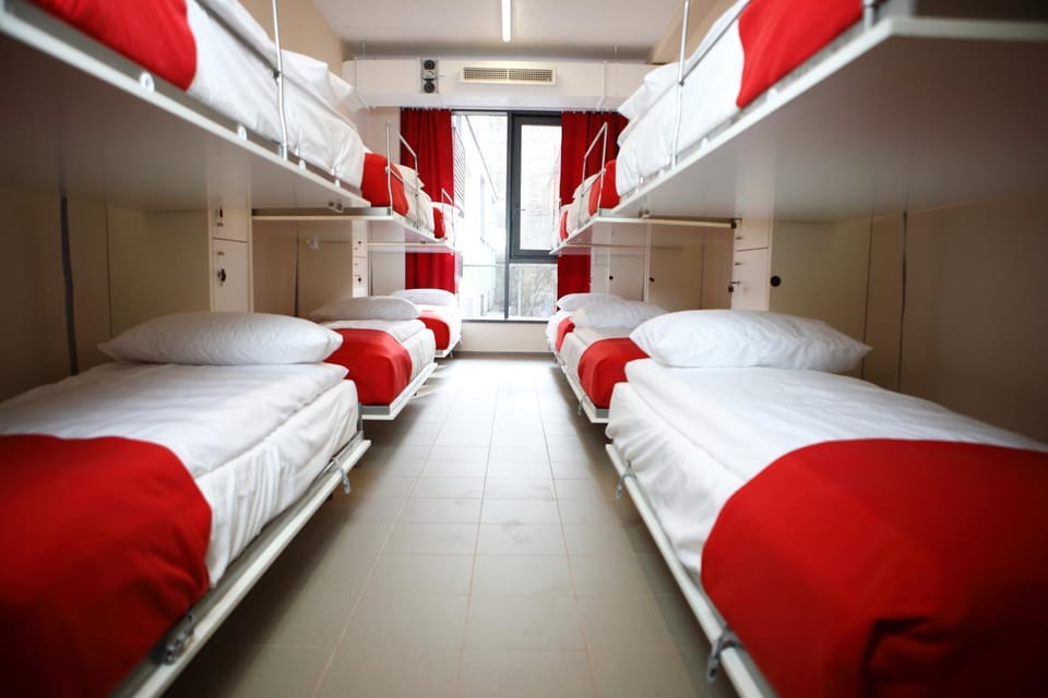 Bed, Photo of the whole room, Bedroom, bunk bed