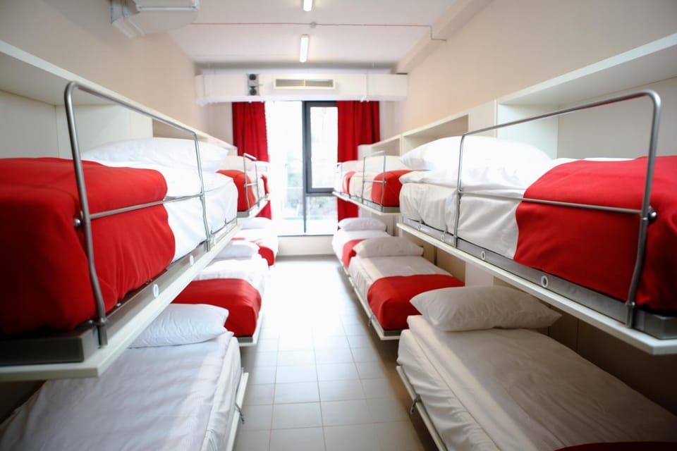 Bed, Photo of the whole room, bunk bed