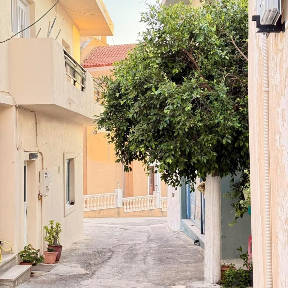Dimitra's House Apartment in Kefalos