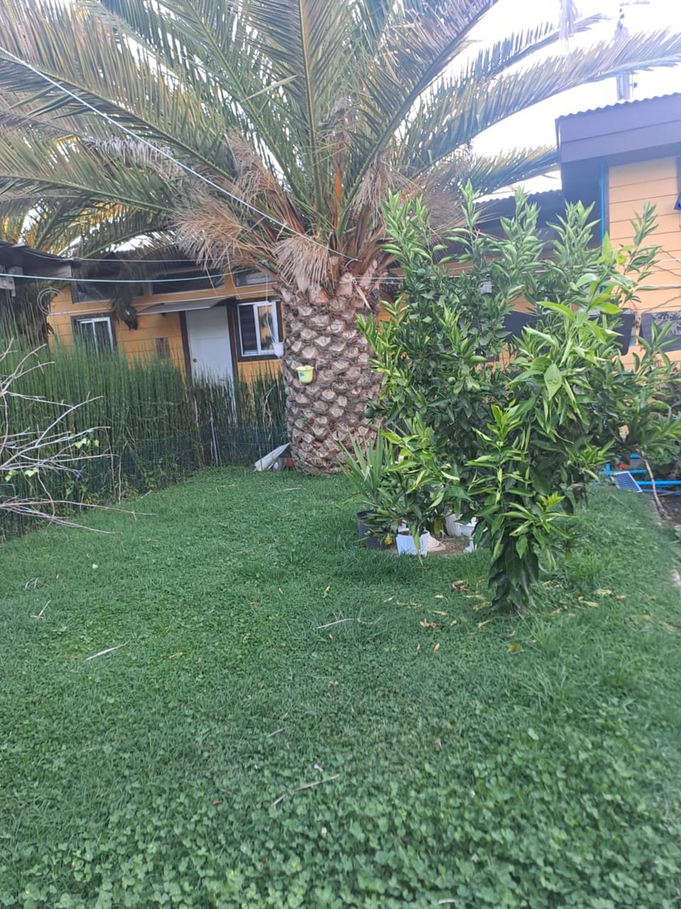 HOSTAL EL ARoMO CHILLÁN Bed and Breakfast in Bio Bio, Chile