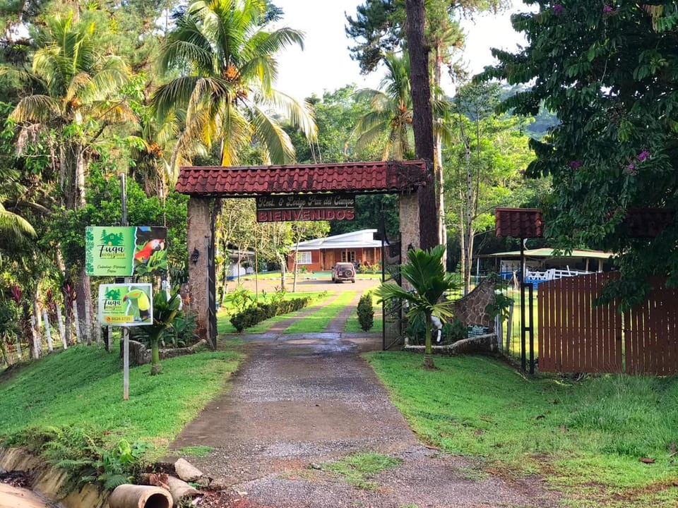 Fuga Ecolodge Casa grande Apartment in San José Province