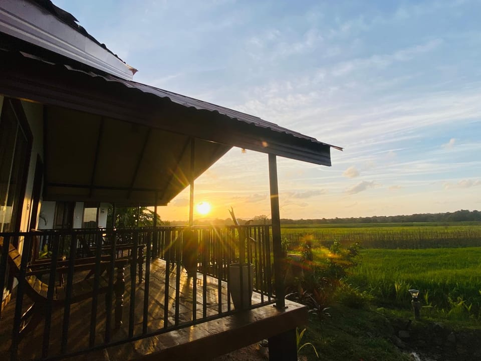 Property building, Natural landscape, View (from property/room), Garden view, Sunset