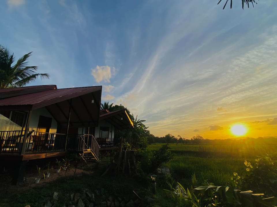 Day, Natural landscape, Sunset