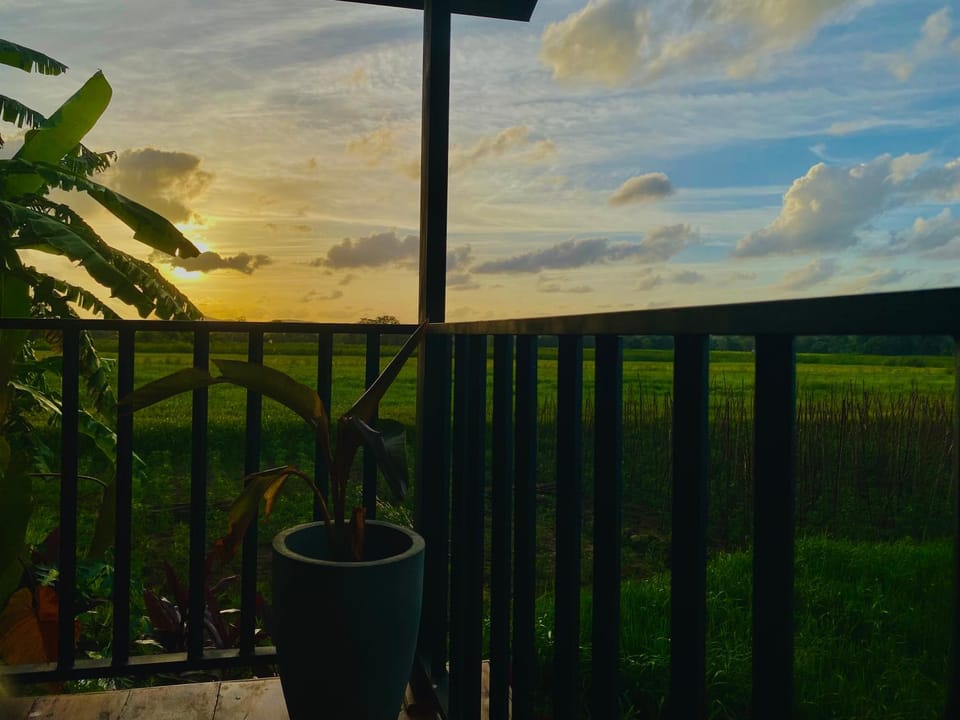 Sunrise