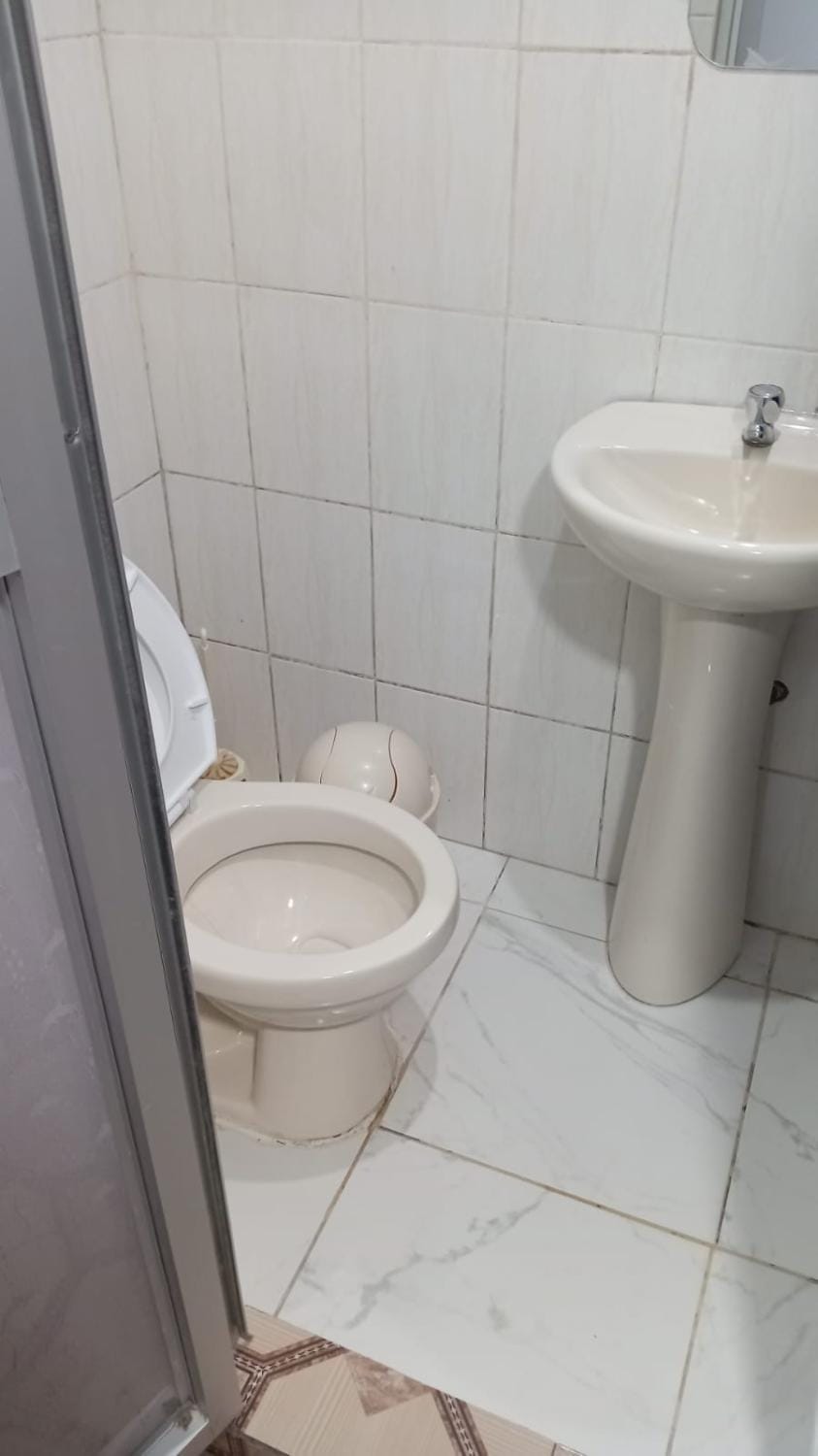 Toilet, Bathroom, bidet