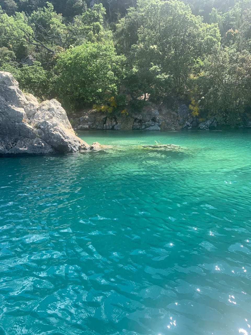 Lake view