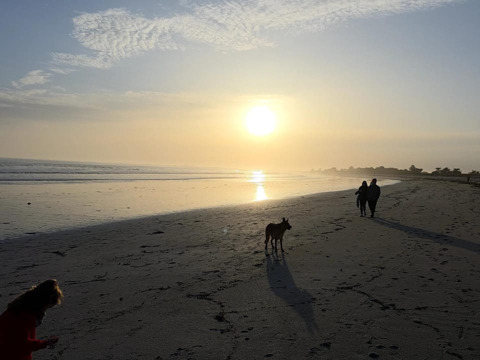 Beach, Sunset
