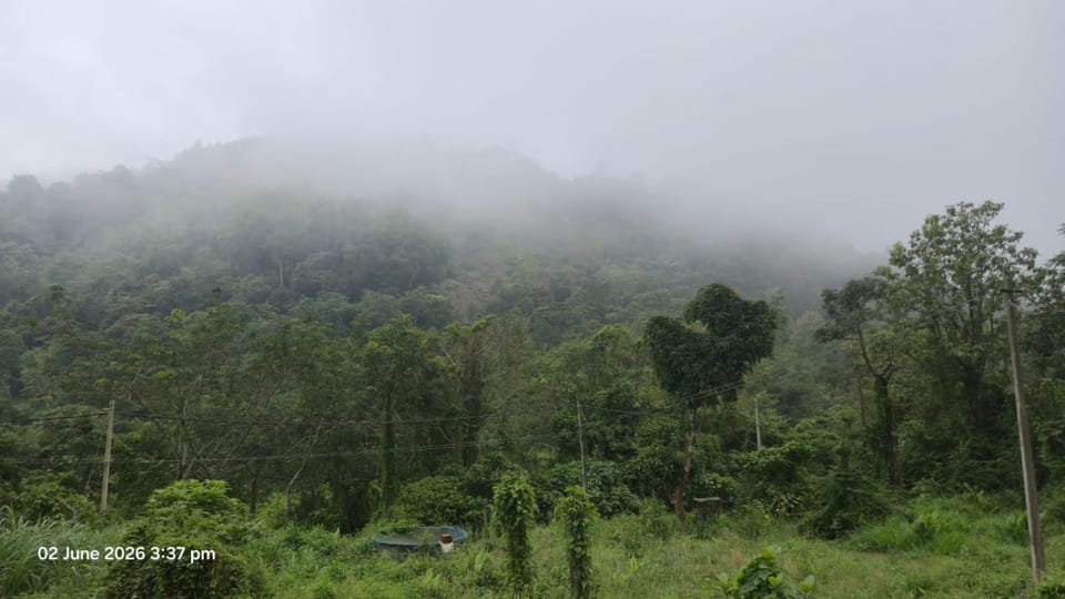 Natural landscape, Garden