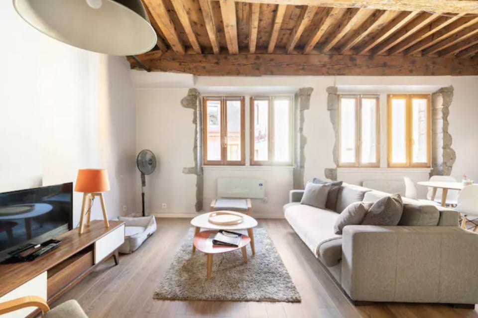 Au coeur de la vieille ville Apartment in Annecy