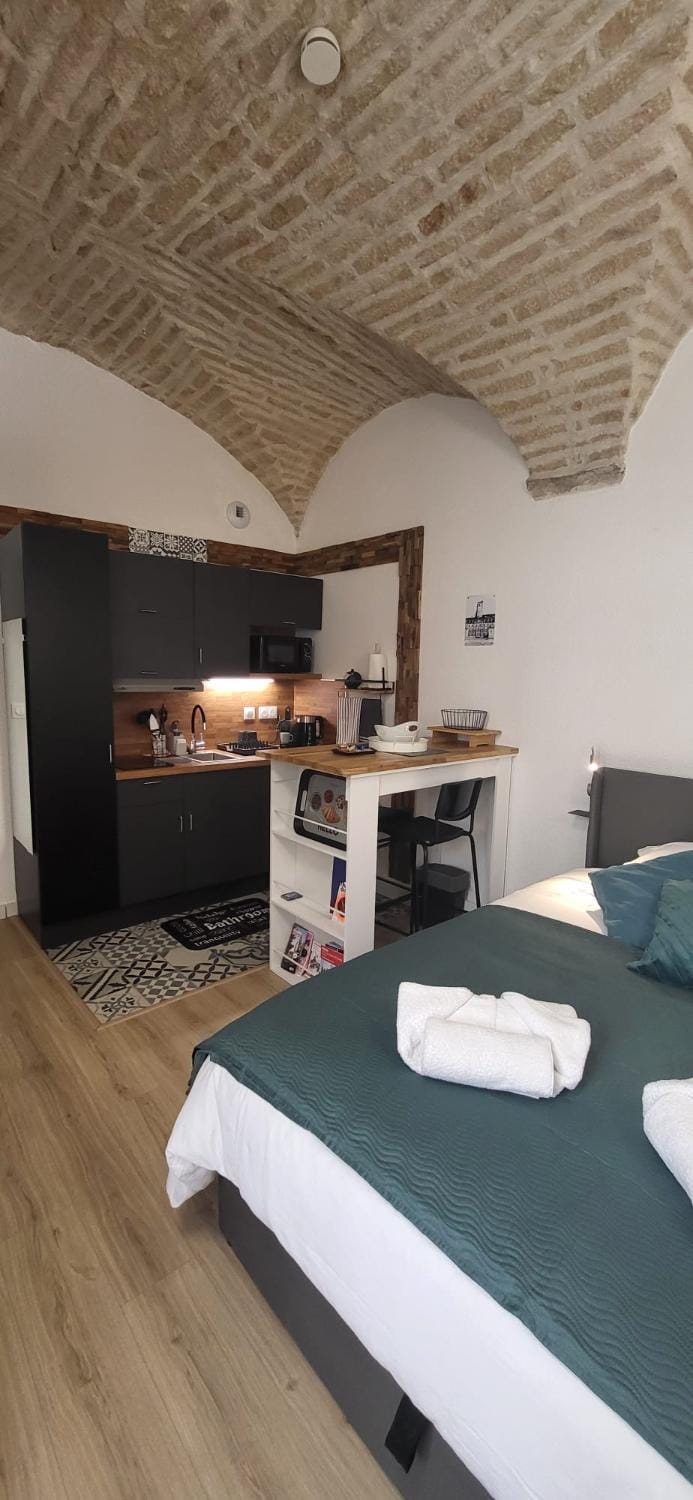 Studio Les Arches de Saint Michel- Apartment in Dijon