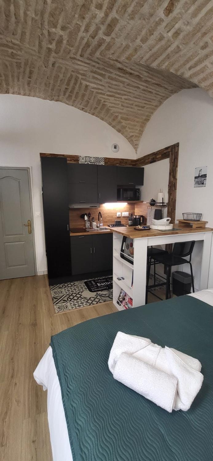 Studio Les Arches de Saint Michel- Apartment in Dijon