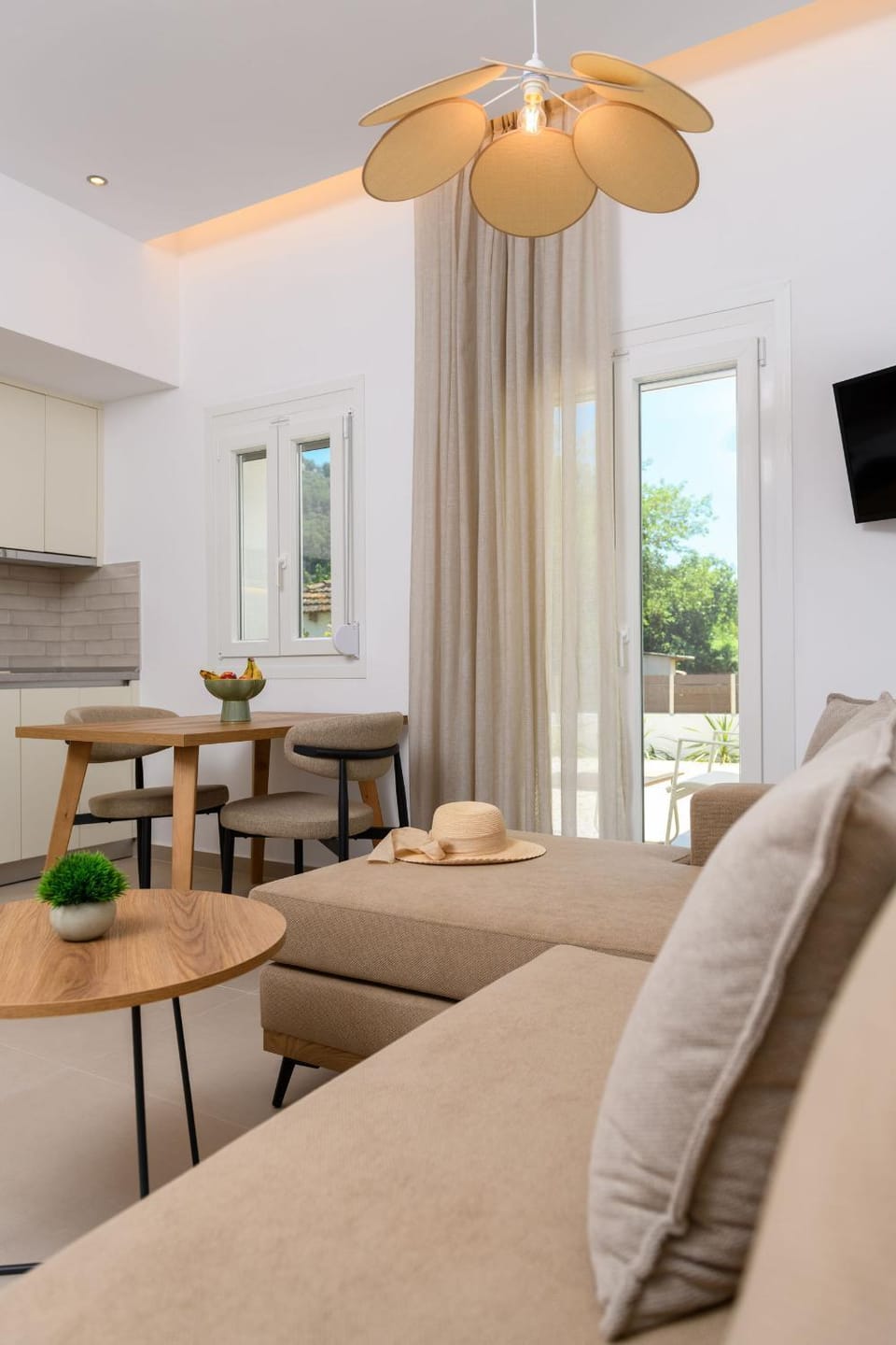 Living room, kitchen