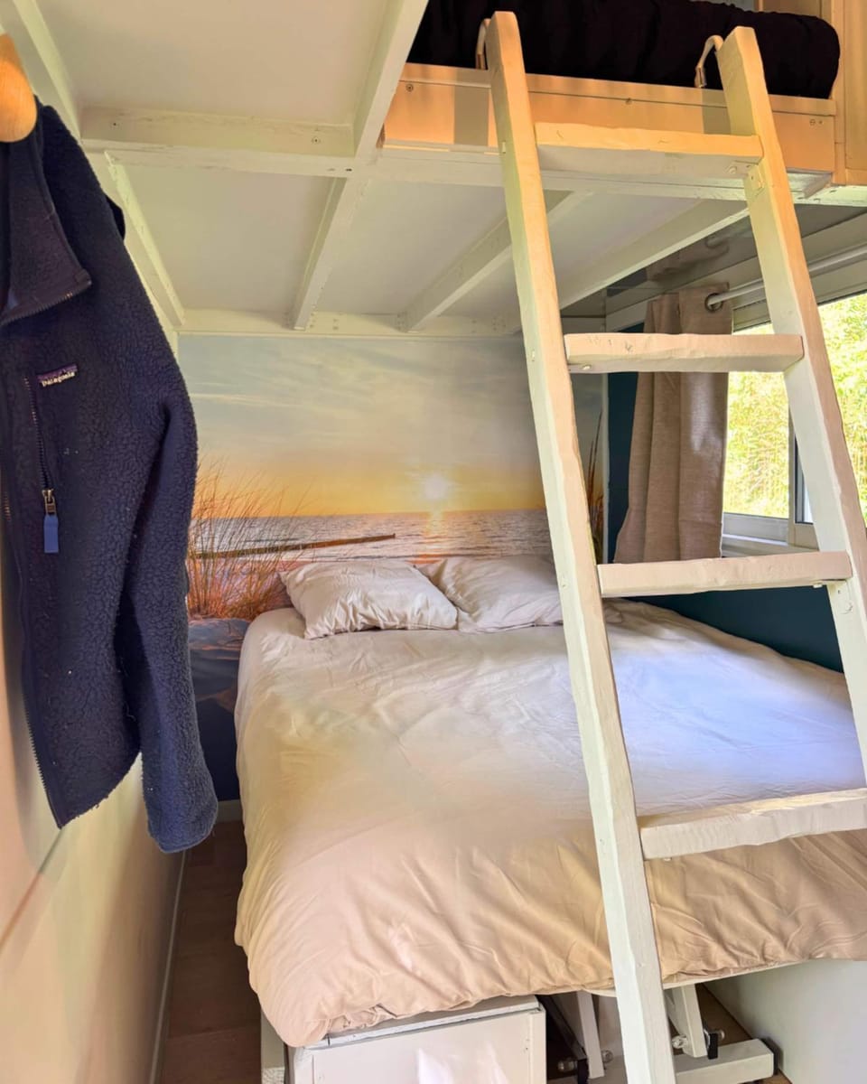 Bed, Photo of the whole room, Bedroom, bunk bed