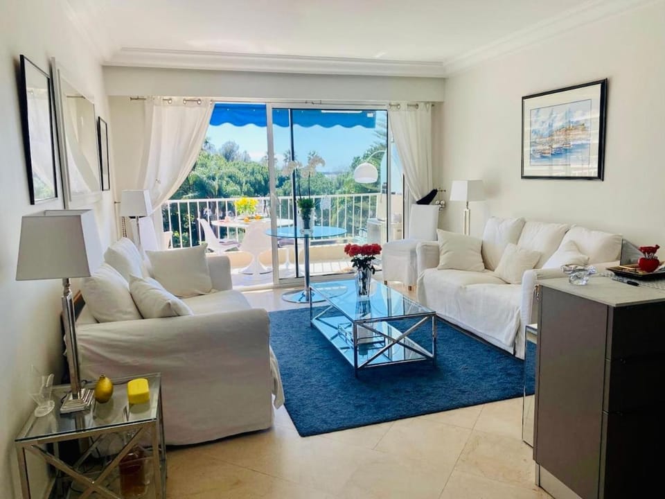 Beautiful apartment with terrace and sea view Apartment in Cannes