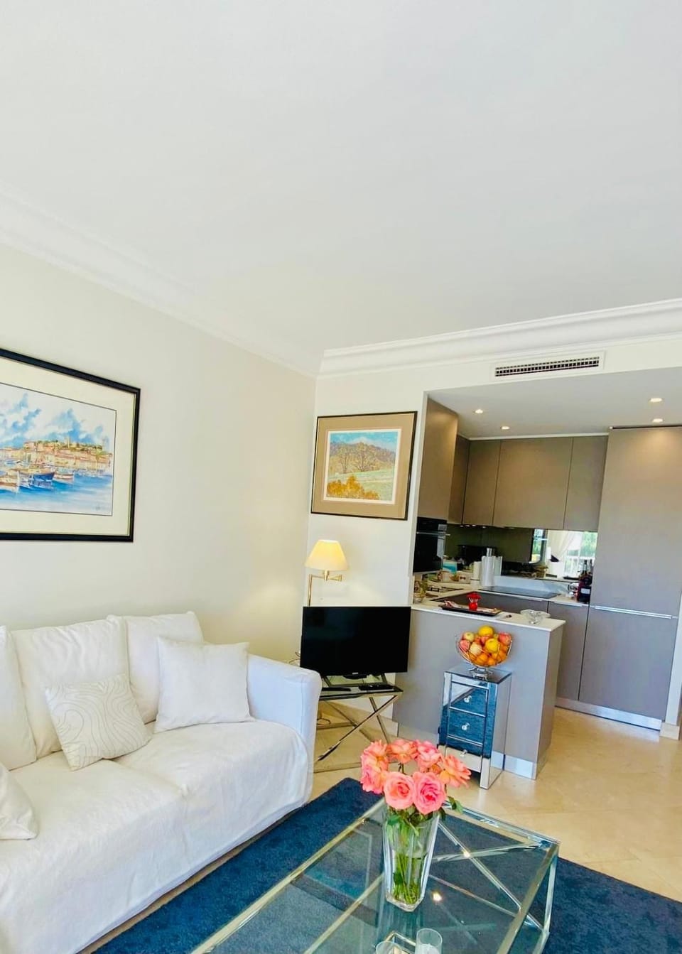 Beautiful apartment with terrace and sea view Apartment in Cannes