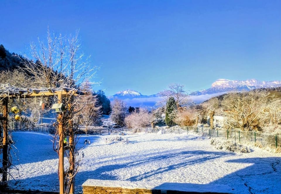 Natural landscape, Winter, Garden, Mountain view