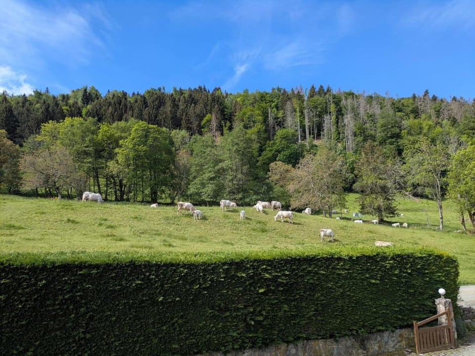 Natural landscape, Mountain view