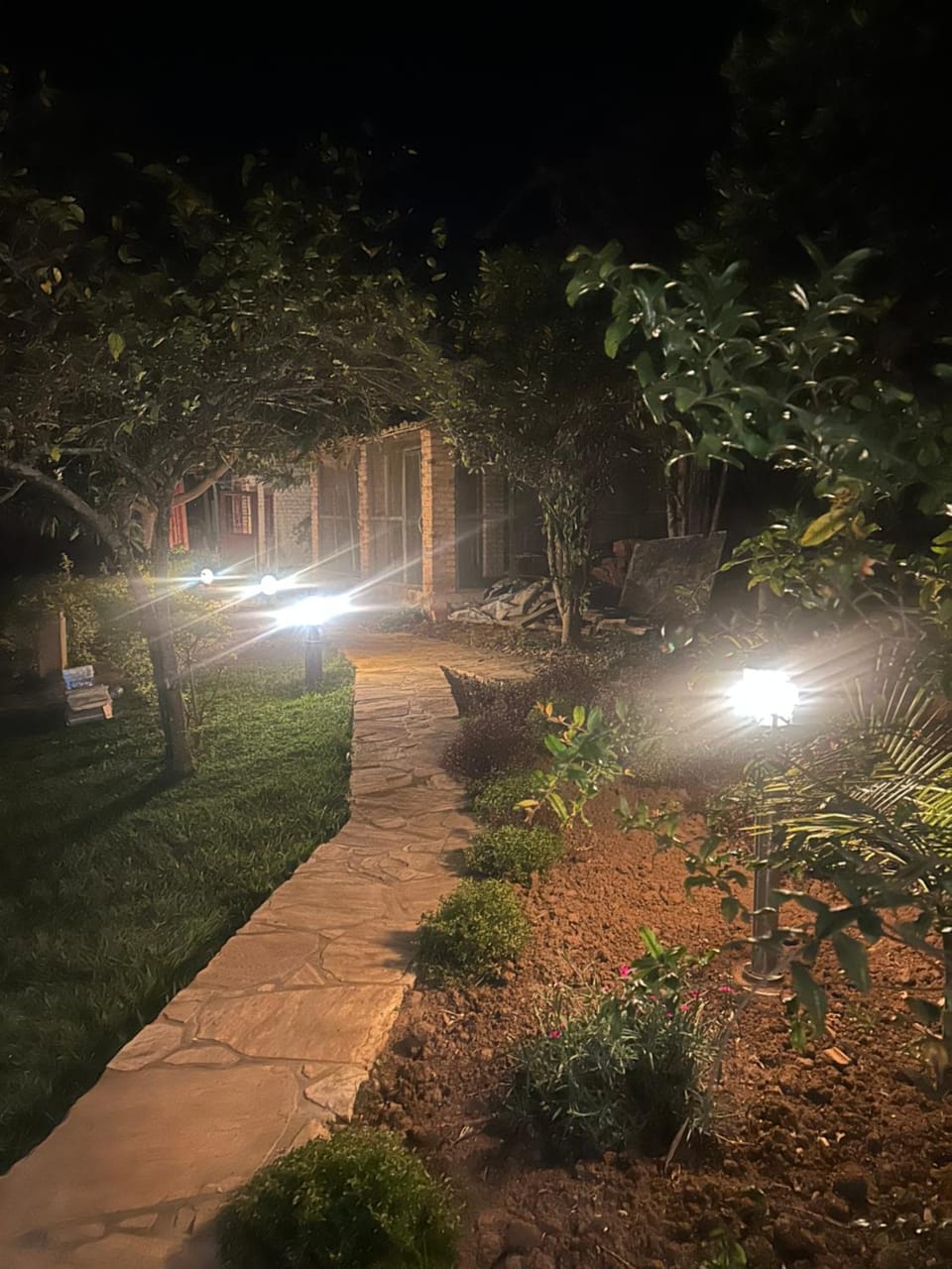 Night, Garden, Garden view