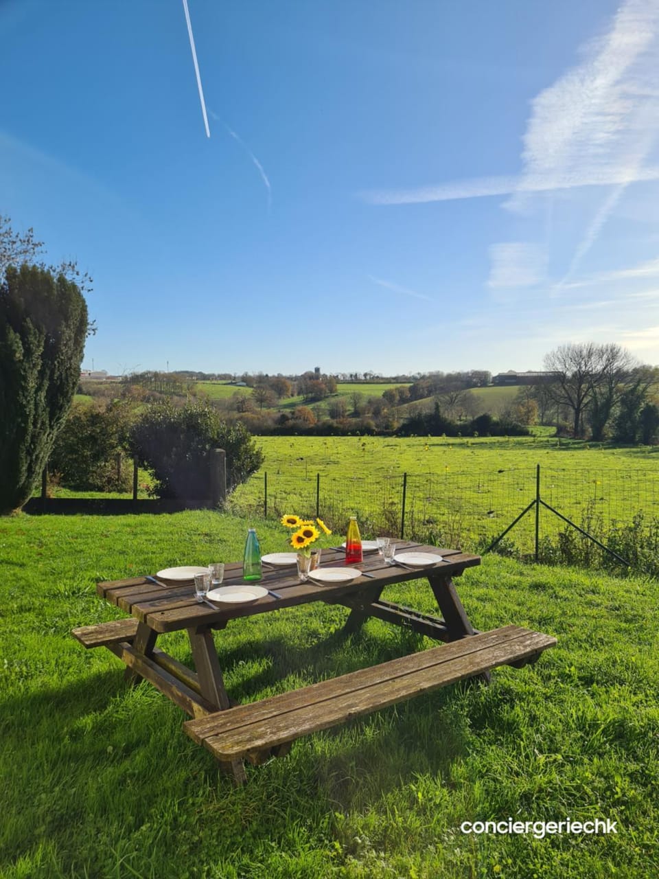Natural landscape, Garden, Garden view