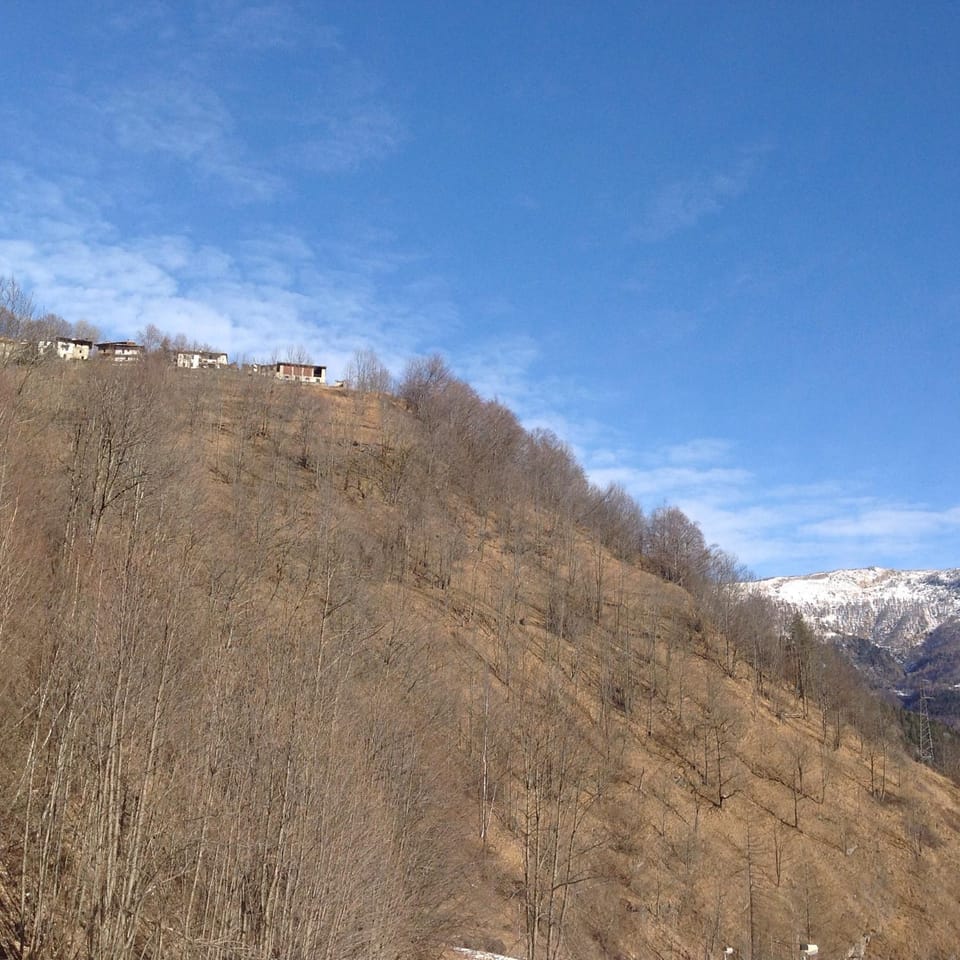 Natural landscape