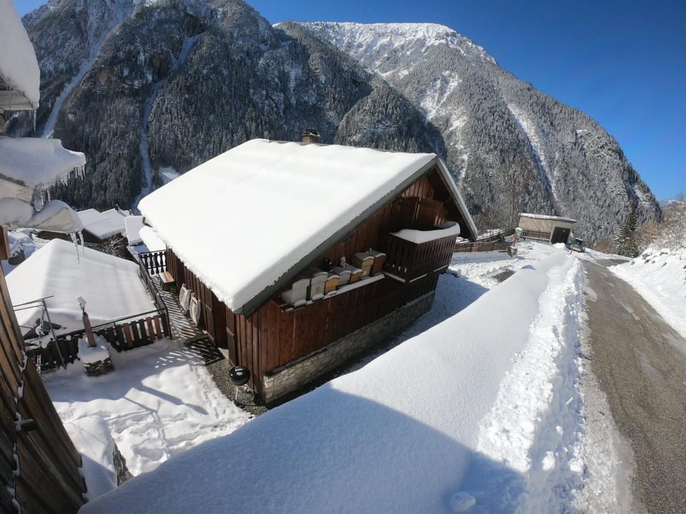 Facade/entrance, Day, Winter, On site