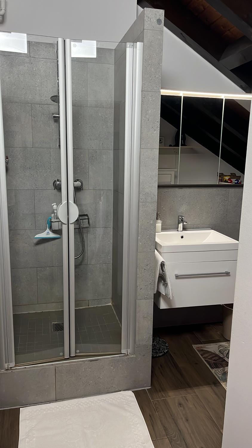 Garden Apartment Apartment in Baden-Baden