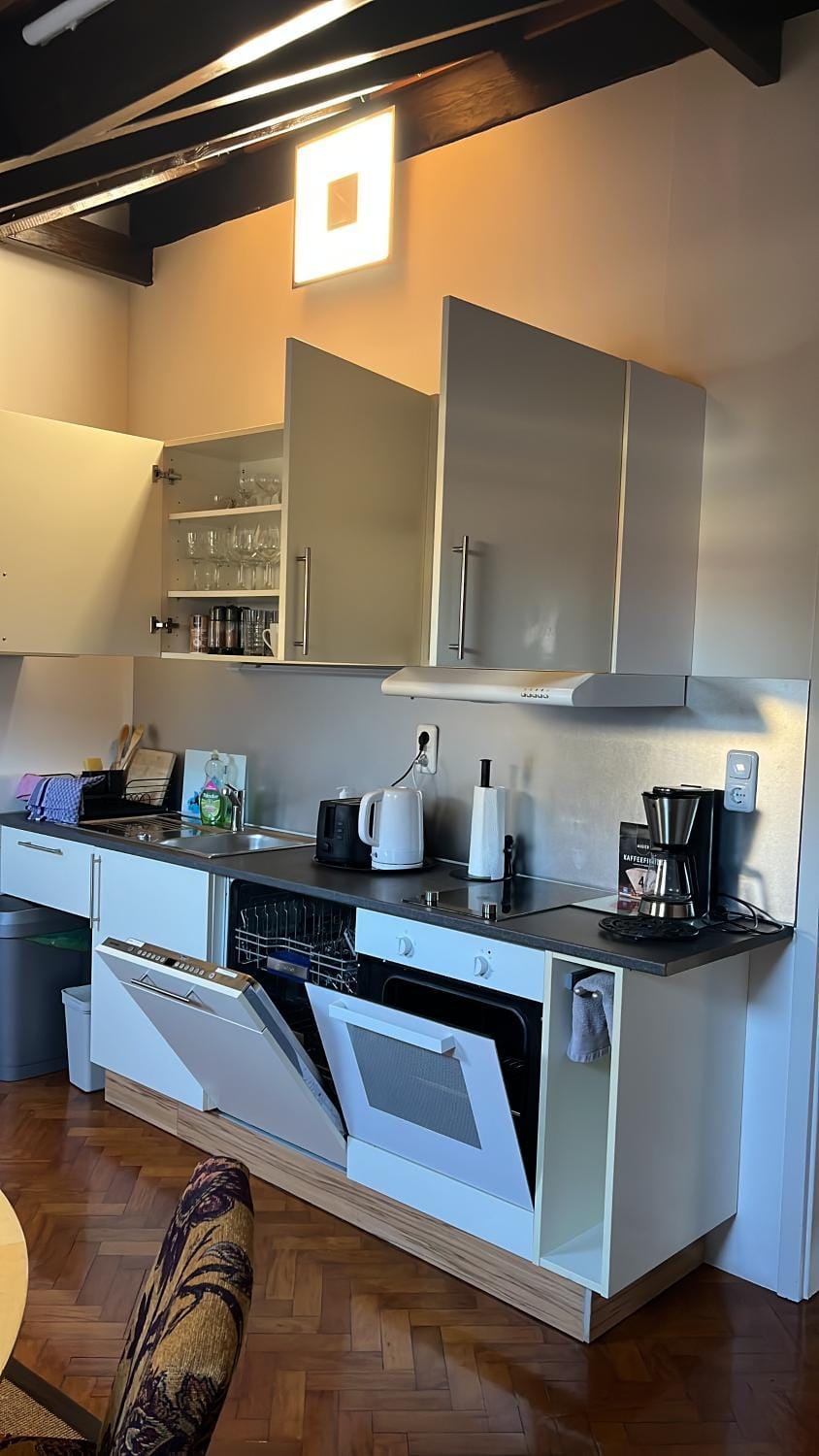 Garden Apartment Apartment in Baden-Baden