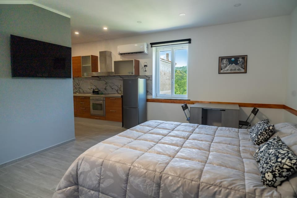 Bed, TV and multimedia, Kitchen or kitchenette, air conditioner