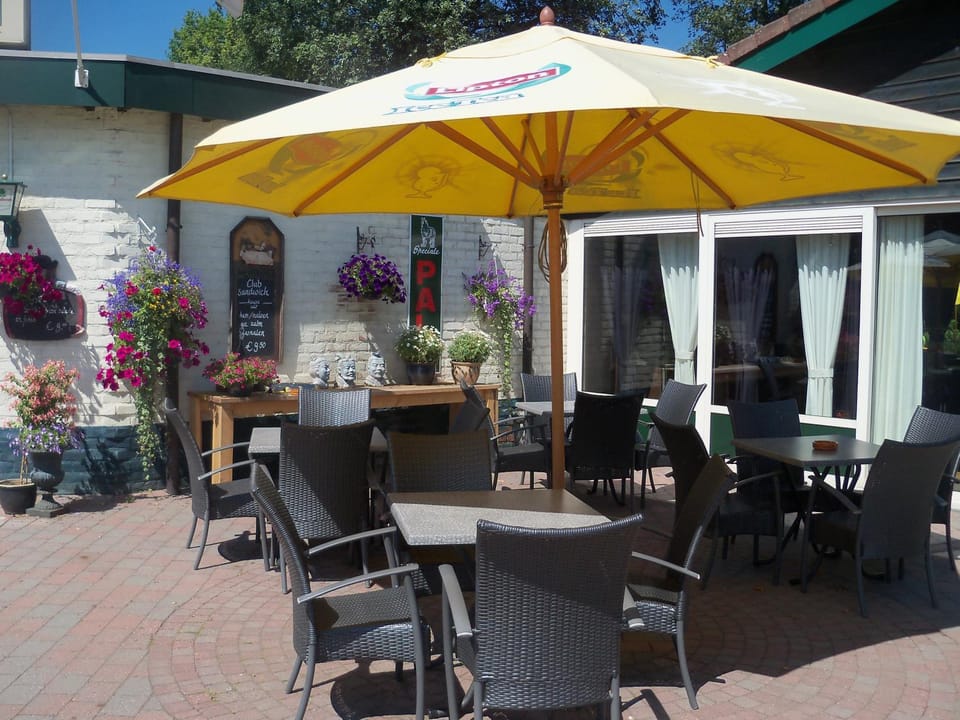 Patio, Spring