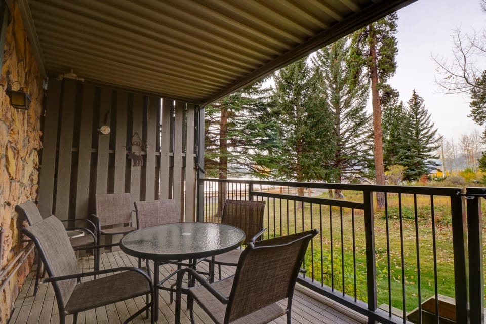 A106 Lake Cliffe Apartment in Dillon